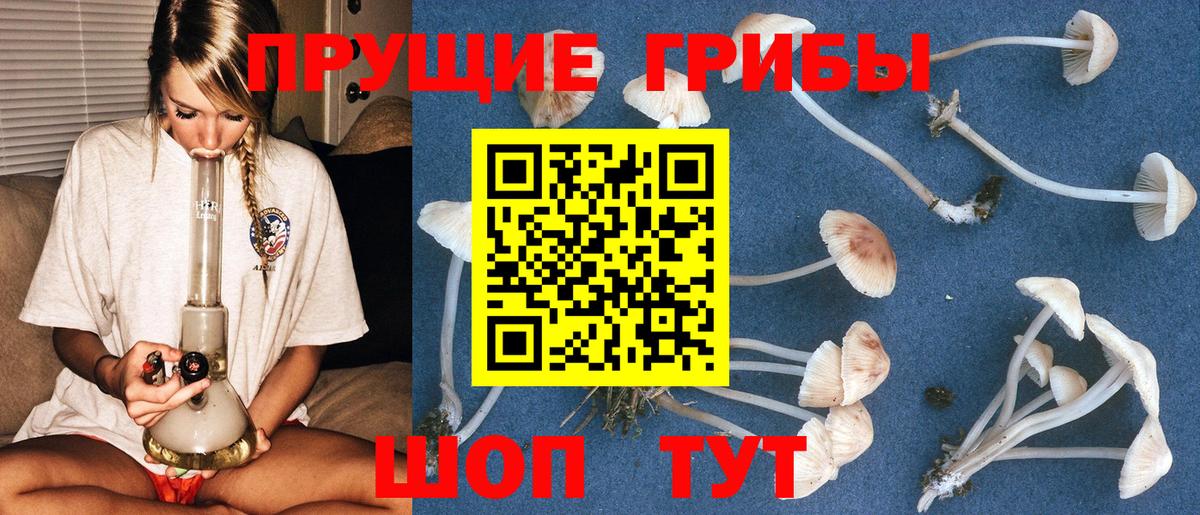 Галлюциногенные грибы прущие грибы Костомукша