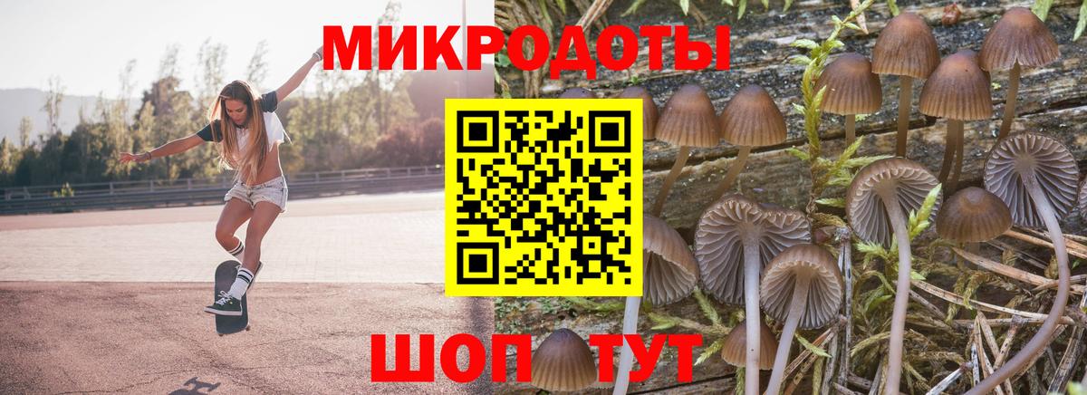 Галлюциногенные грибы мухоморы  Вход с VPN  Костомукша 